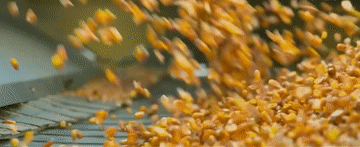 2024������ӛͬ������һ�����(qi��ng)�r(n��ng)����